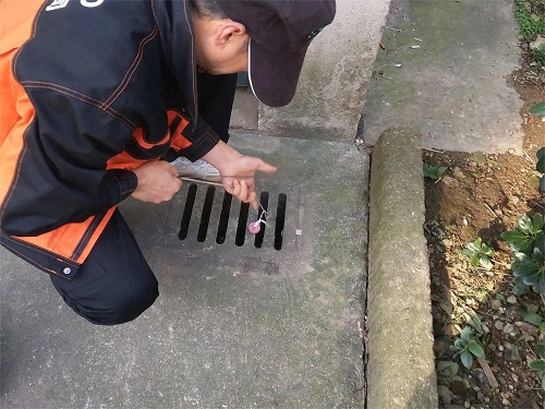 下水道懸掛毒鼠臘塊