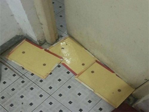 粘鼠板