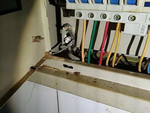 配電盒里的蟑螂.jpg