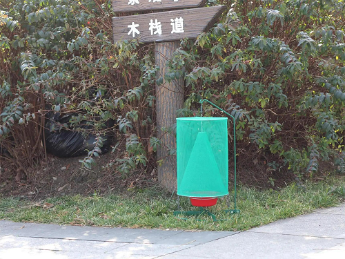 酒店外圍的捕蠅籠