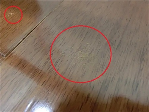 地板上粉蠹虫的排泄物