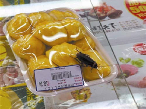 超市食品包装上的蟑螂.jpg